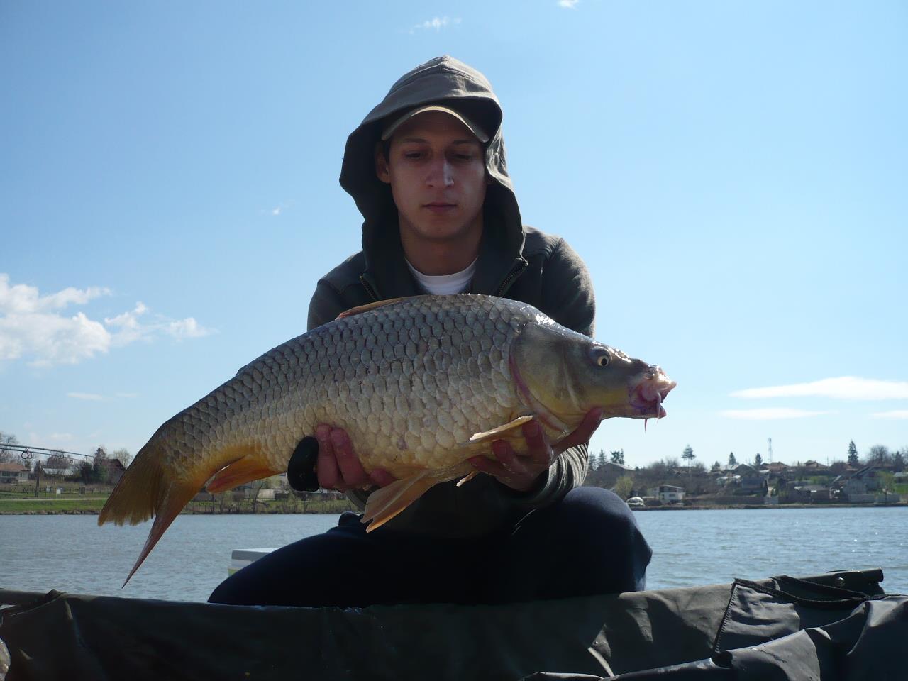 MV2 - 20.MAR.2014 - p1020228.JPG